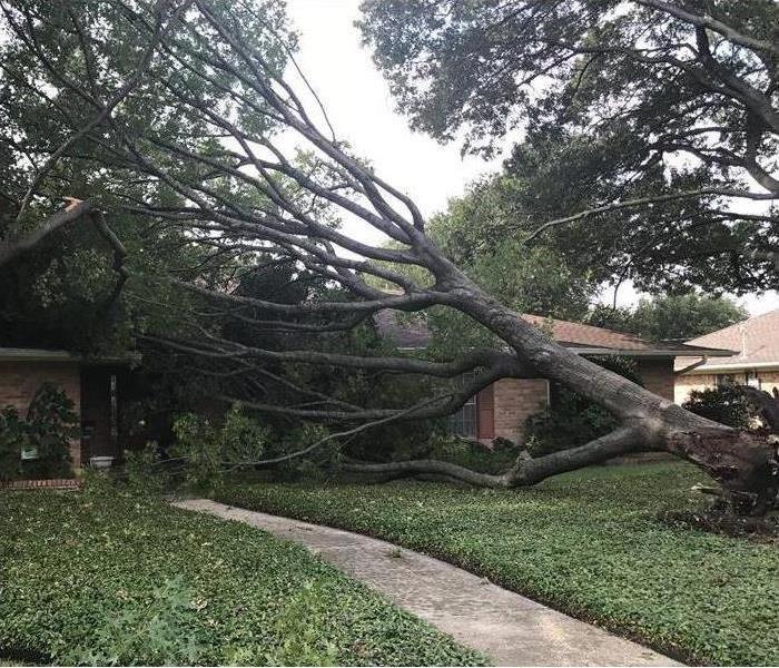massive tree fell on top of a house after a storm