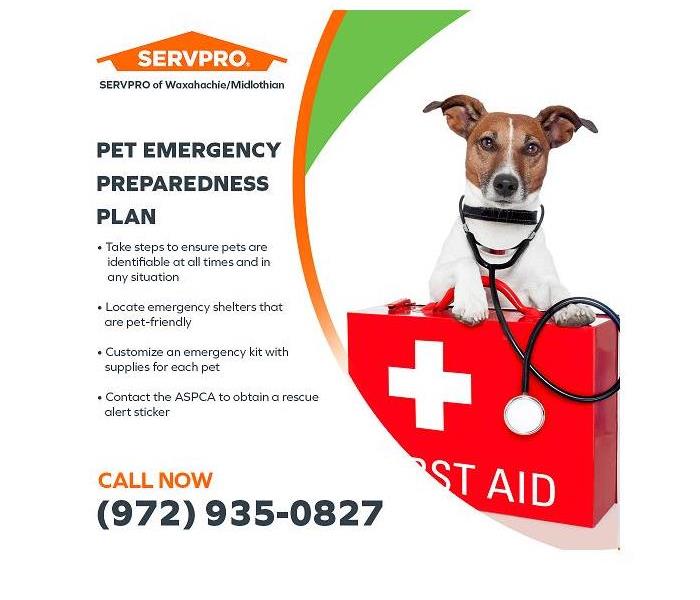 A dog on the top of a first aid box