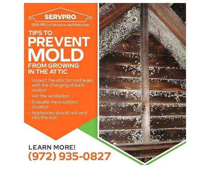 Mold infested roof